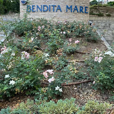 Apartament - Bendita Mare